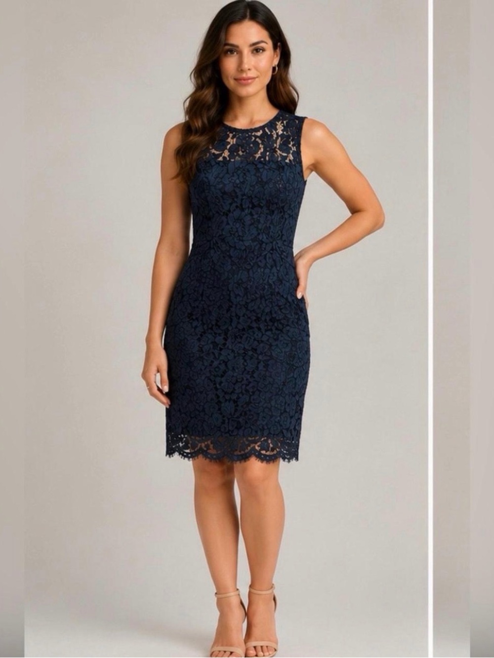 Banana Republic Navy Lace Sheath Dress Size 2P